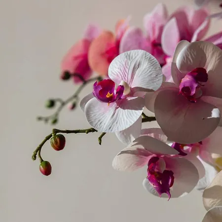 Ivory Seafront With Views!- Fl 12 By Homely *