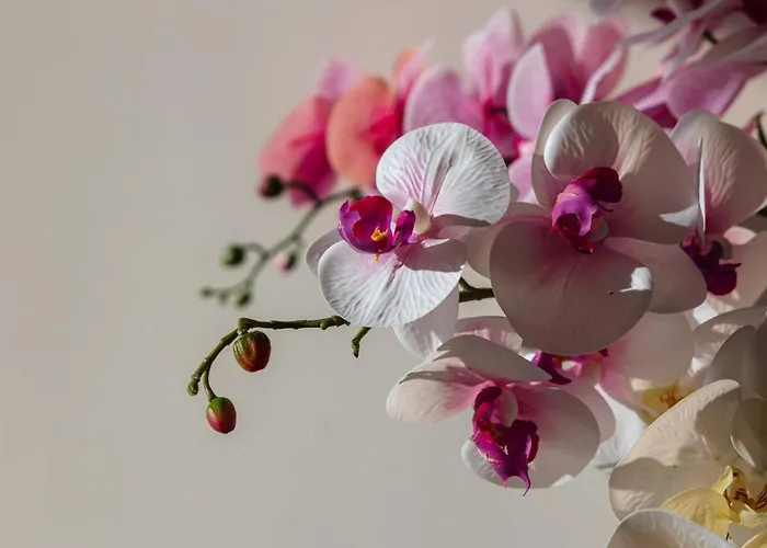 Ivory Seafront With Views!- Fl 12 By Homely *